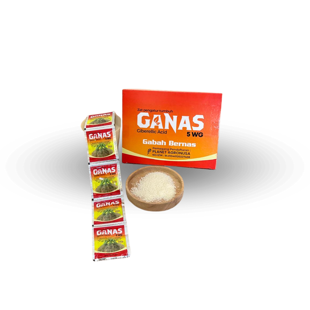 GANAS-image